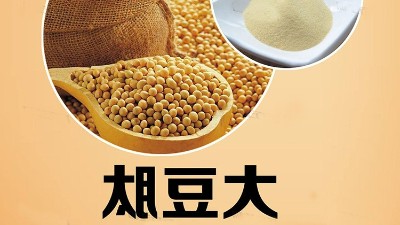 酶制剂在小份子大豆肽出产中的操纵