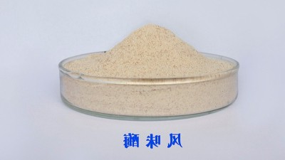 风韵酶能够较着晋升虾膏诱食性