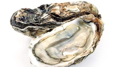 卵白肽与男性功效有哪些接洽关系？