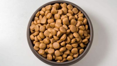 猫粮风韵剂的出产若何挑选酶制剂？