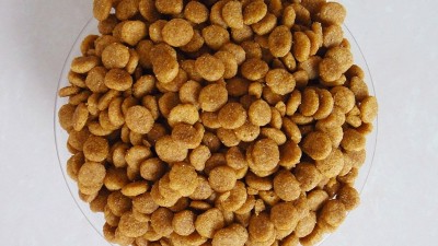 酶解手艺在宠物食物诱食剂的操纵上风