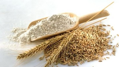 若何操纵小麦卵白酶解制备小麦卵白多肽？