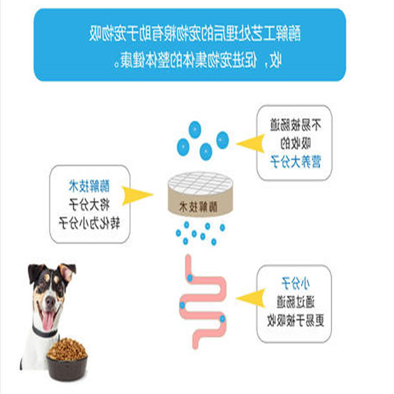 宠物粮酶解工艺