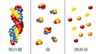 寡肽多肽酶解可控，酶的选择是关键