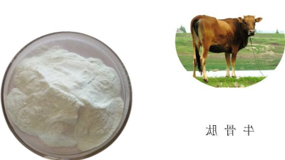 卵白酶解手艺助力牛骨卵白酶解呈味肽品德进级