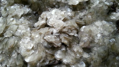 碱性卵白酶酶解鱼鳞制备胶原卵白多肽，制品有积淀？