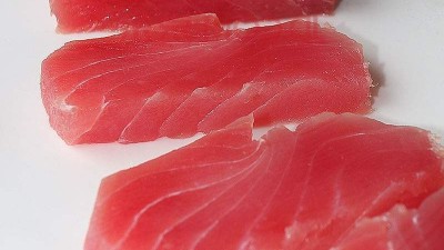 金枪鱼酶解助力宠物粮诱食剂配方优化进级