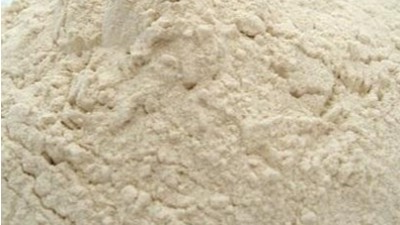 水解小麦卵白甜蜜味的缘由，若何处置？