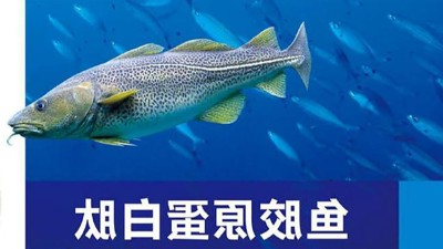 酶解法帮助制备低份子胶原卵白肽