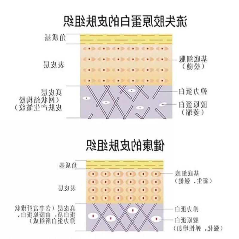 美容护肤品