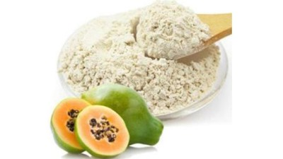 卵白酶在食物加工中有哪些感化？