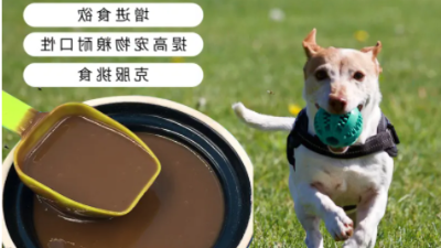 牛肉酶解工艺出产宠物风韵剂的关头目标有哪些？
