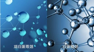 杏彩体育网
告知您酶解鱼鳞制备多肽怎样样