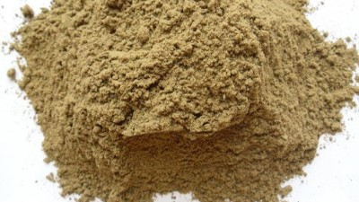 操纵卵白酶晋升酶解鱼粉消化接收率