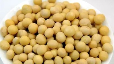酶解制备大豆多肽具备哪些上风？