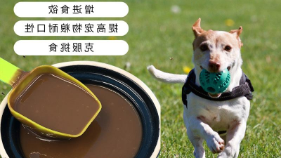 牛肉酶解出产宠物犬粮风韵剂可用酶制剂有哪些？