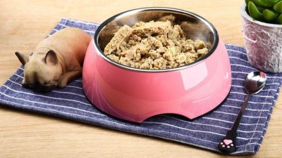 牛肉卵白质酶解制备宠物诱食剂，若何选酶？