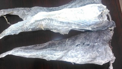 碱性卵白酶及复合酶，哪一个合适鱼皮胶原卵白肽的出产提取？