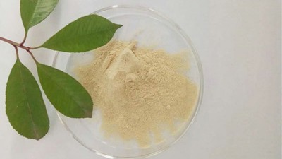 浅谈卵白胨的差别分类及酶制剂的操纵