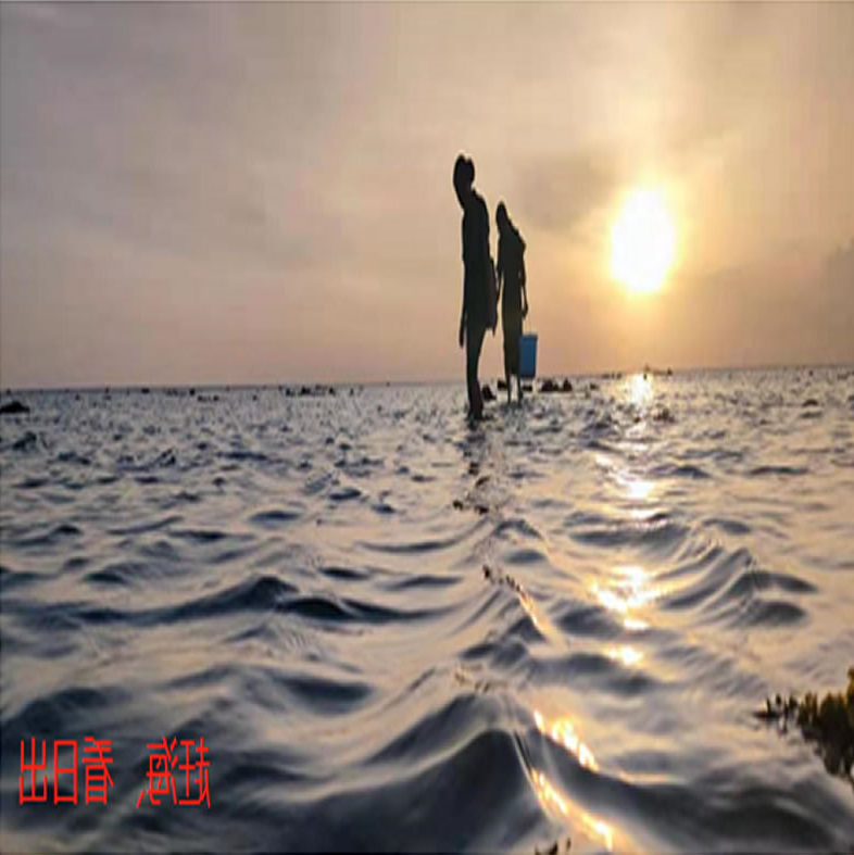 图片 28_r2_c2