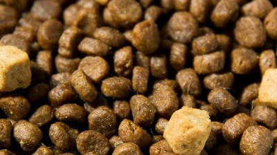 酶解手艺在猫粮诱食剂中的操纵上风