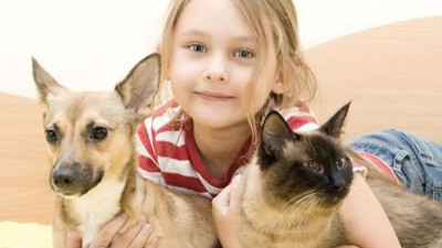 猫犬风韵剂出产挑选复合酶，仍是单体酶制剂？