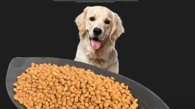 宠物犬粮风韵剂的出产离不开酶制剂的利用