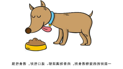 3张图告诉你宠物诱食剂怎么练成的！