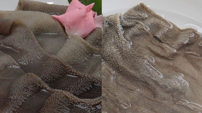 生物酶制剂助力毛肚暖锅餐饮食材品德进级