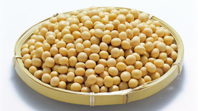 豆乳粉改性的方式有哪些？