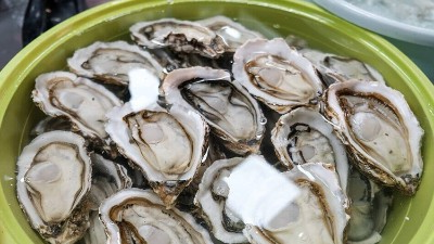 酶解牡蛎肽用什么酶制剂？