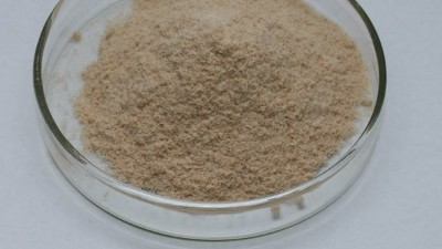 碱性卵白酶在洗濯剂行业的利用远景