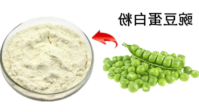 酶法改性在豌豆卵白粉中的操纵