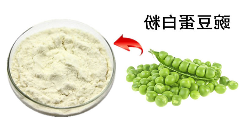 图片 2_r1_c1
