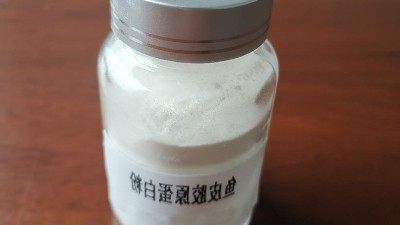 中性卵白酶在鱼鳞胶原卵白肽出产中的利用