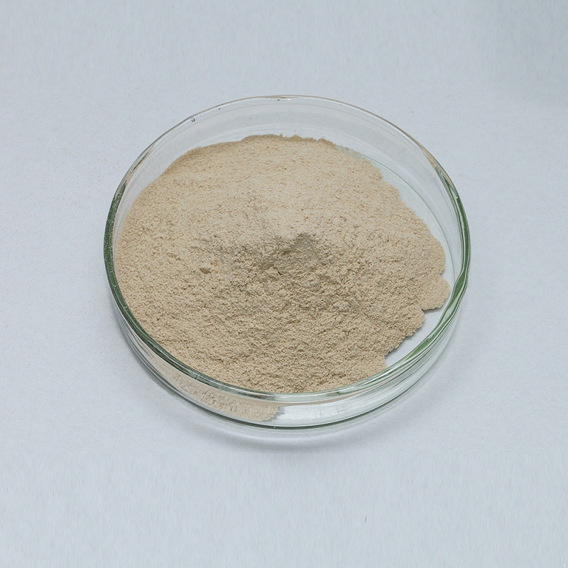 neutral protease6