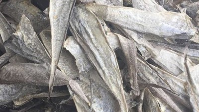 水解鱼皮做胶原卵白肽有苦味，风韵酶能去除苦味吗？
