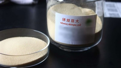 出产大豆低聚肽与多肽会用到哪些酶制剂？