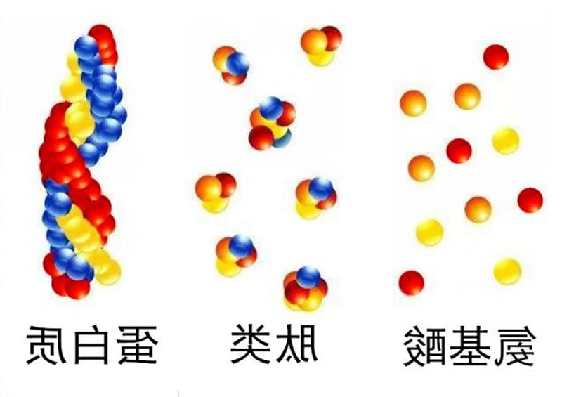 图片 4_r1_c1