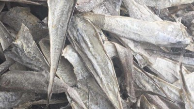 鱼皮胶原卵白寡肽若何酶解制取及操纵范畴都有哪些？