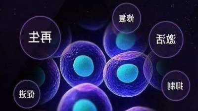 杏彩体育网
酶制剂行将参与2021第五届生物活性肽钻研会
