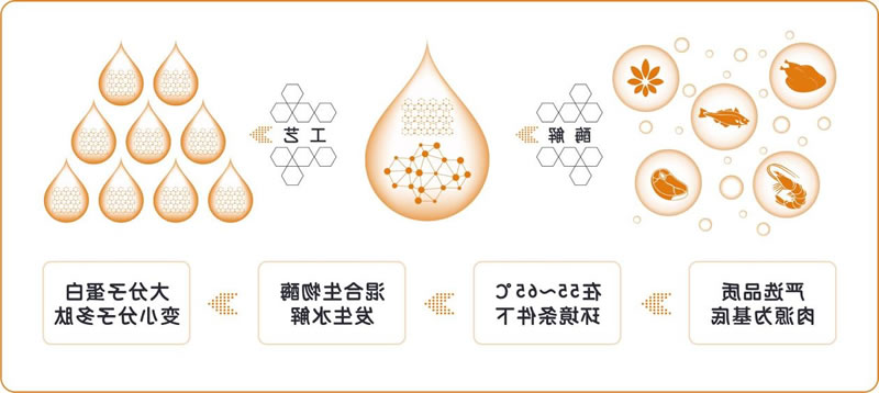 酶解手艺在宠物诱食剂出产中的操纵