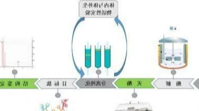 制备生物活性肽的关键——酶解法