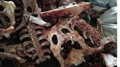 牛骨、猪骨卵白胨出产，合适的酶制剂有哪些呢？